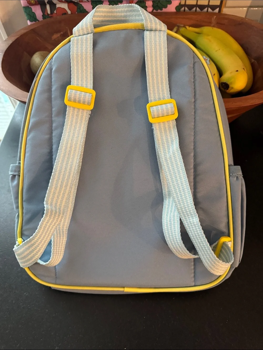 Kids Sun & Cloud Backpack and Lunch Bag Set - Blue & Yellow- pottery barn kids